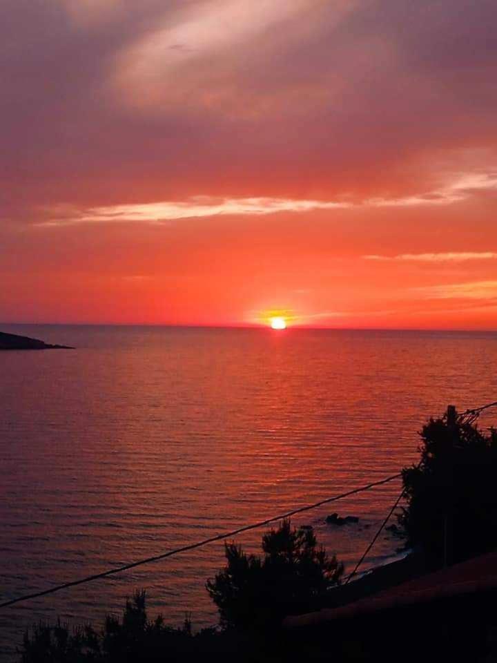 Kalymnos Platy Gialos Mousellis Makis Apartments Panormos  Bagian luar foto